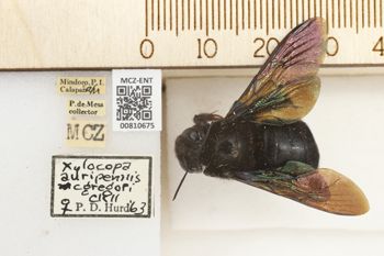 Media type: image;   Entomology 810675 Aspect: labels